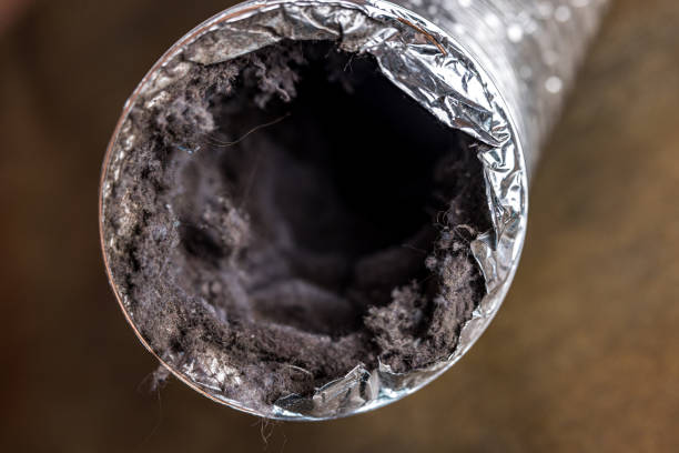Best Commercial HVAC Duct Cleaning  in Ralston, NE