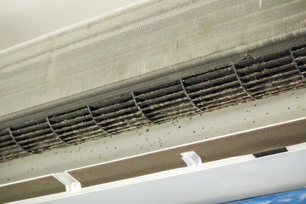 Best Air Duct Cleaning Near Me  in Ralston, NE